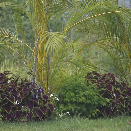 Aparthotel Europa Punta Cana Eksteriør billede